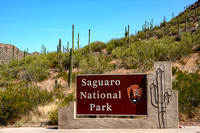 Saguaro NP and Tucson